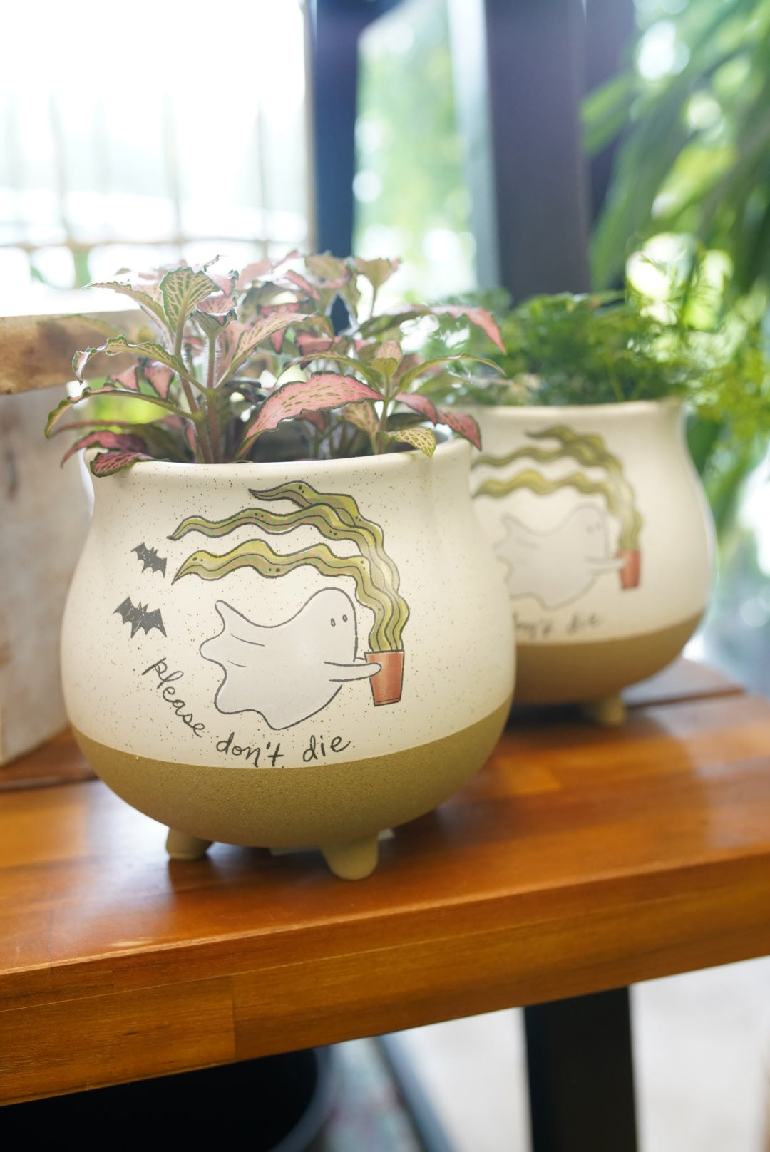 Optimistic Ghost Footed Planter