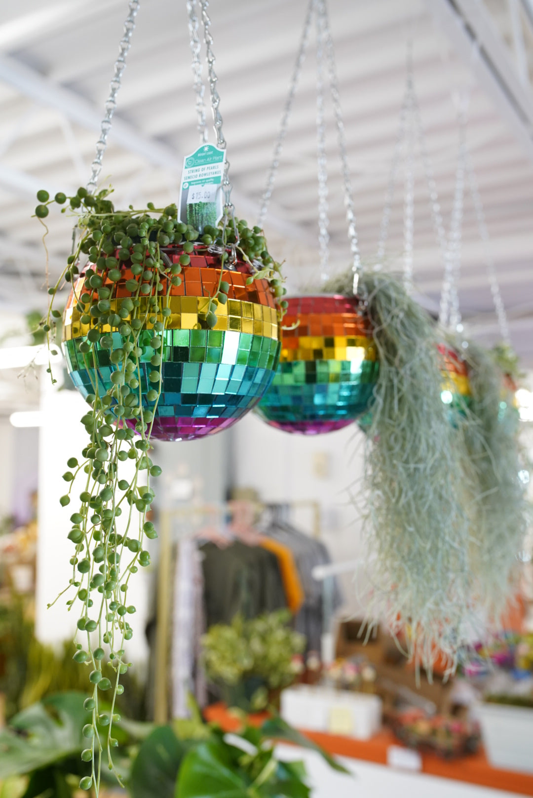 disco hanging planter Disco Ball Planters