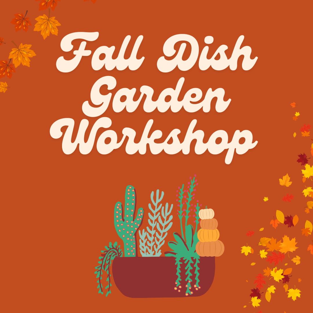 Fall Dish Garden Workshop - Saturday, November 14