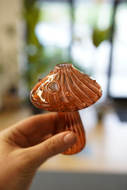 Mushroom Prop Jars