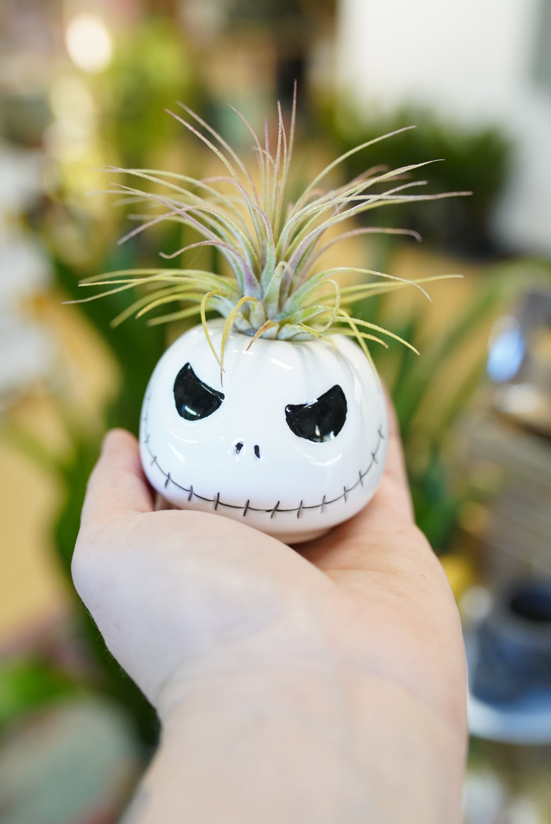 Jack Skeleton Air Plant Holder