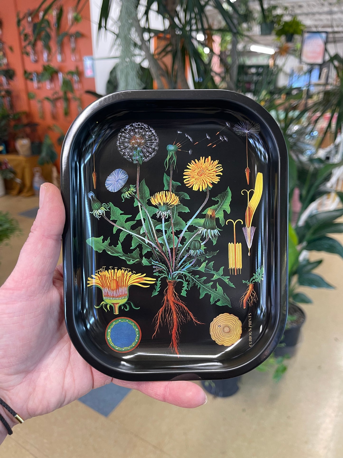 Botanical Dandelion Tray