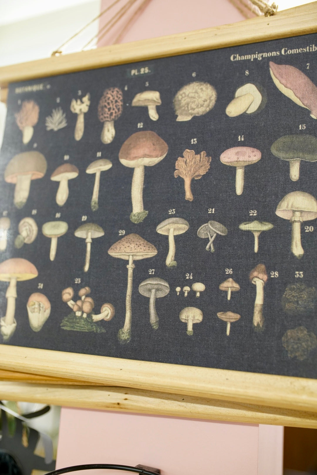 Mushroom Wall Decor