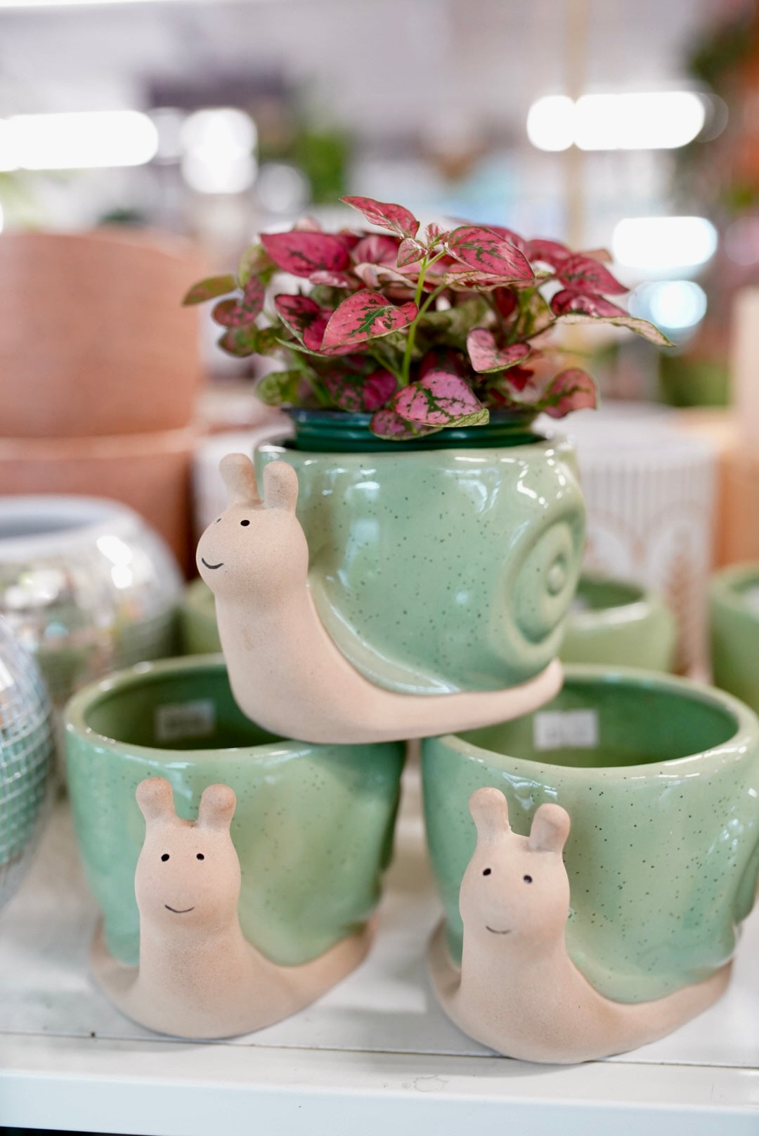 Snail Planter