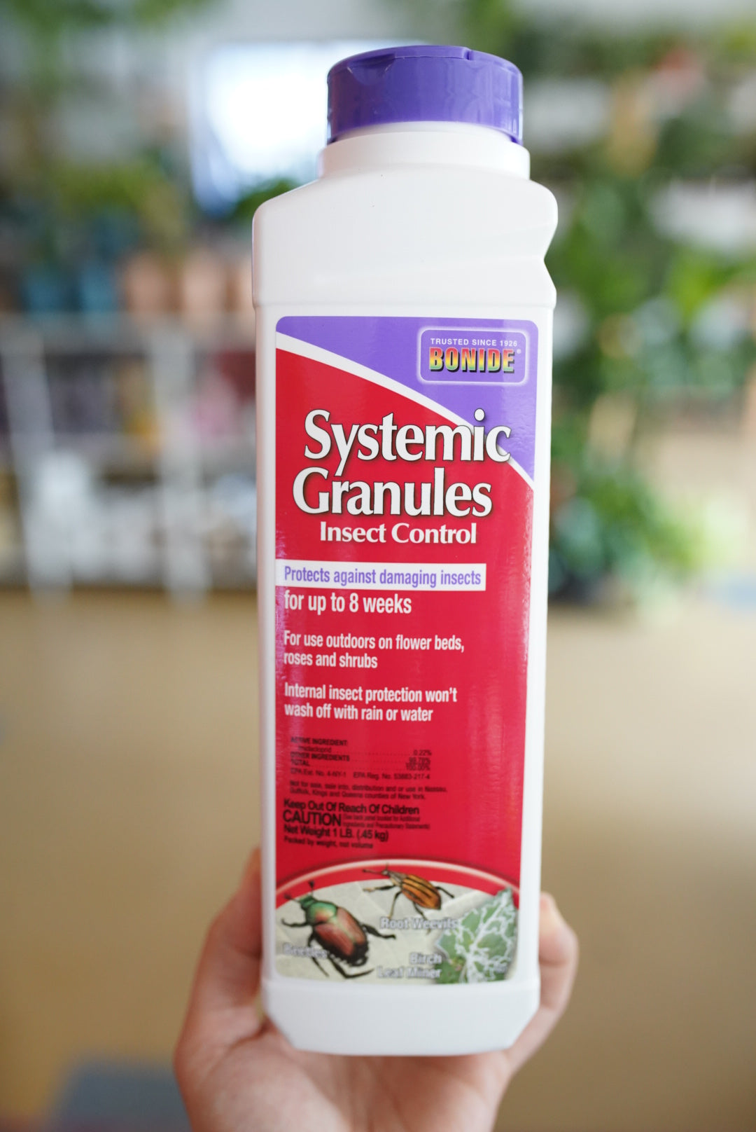 house plant systemic insecticide Bonide Systemic Granules