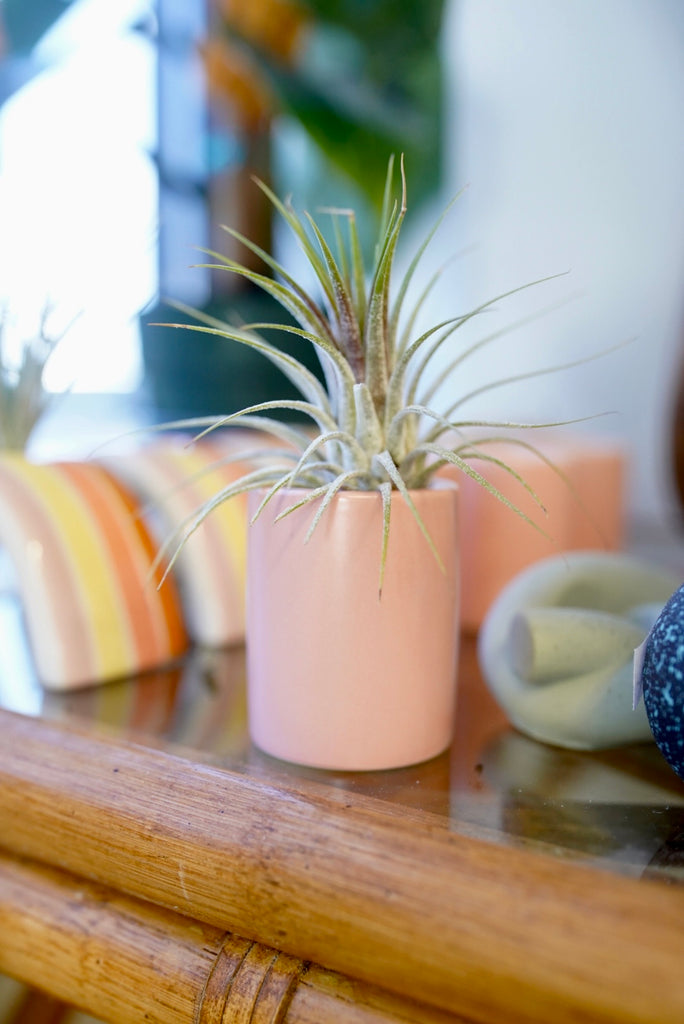 Mini Ceramic Air Plant Holders