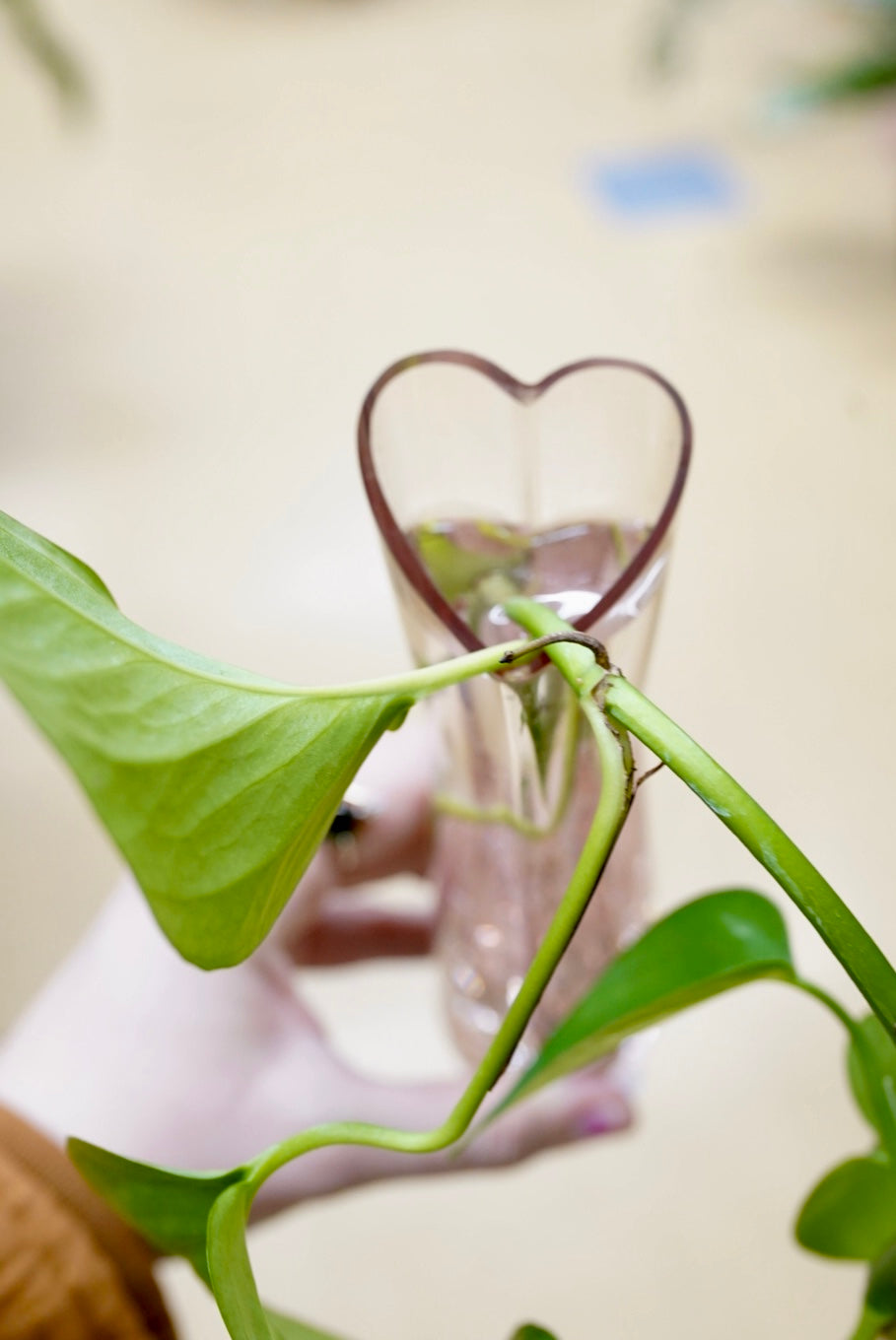 Heart-Shaped Bud Vase