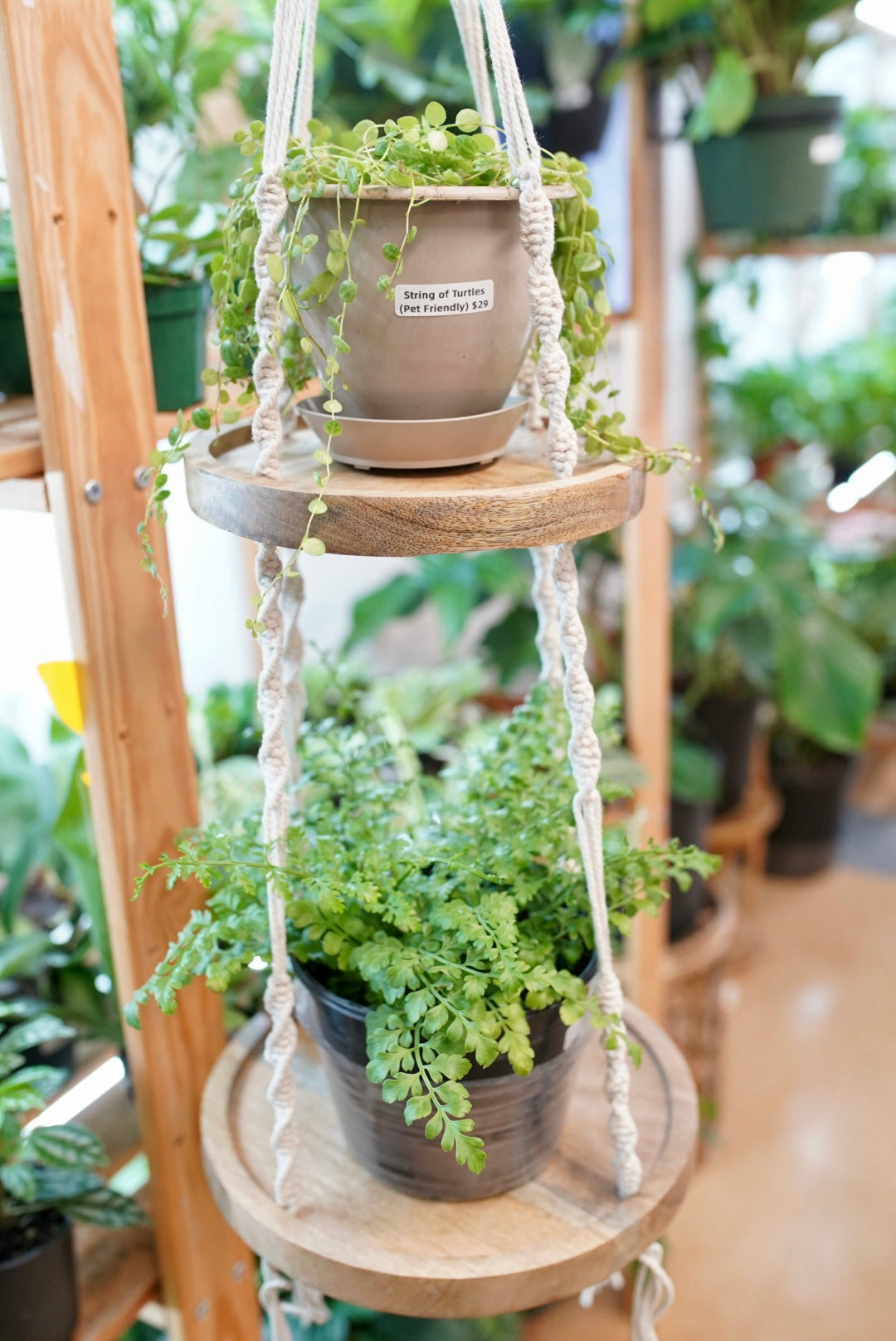 Tiered Shelf Plant Hanger