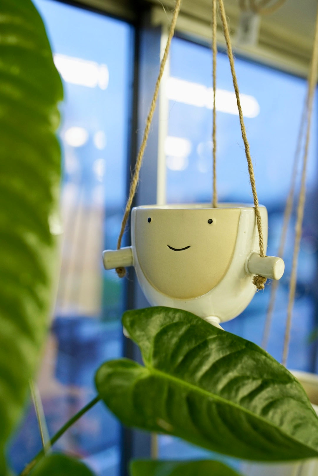Mini Face Planter