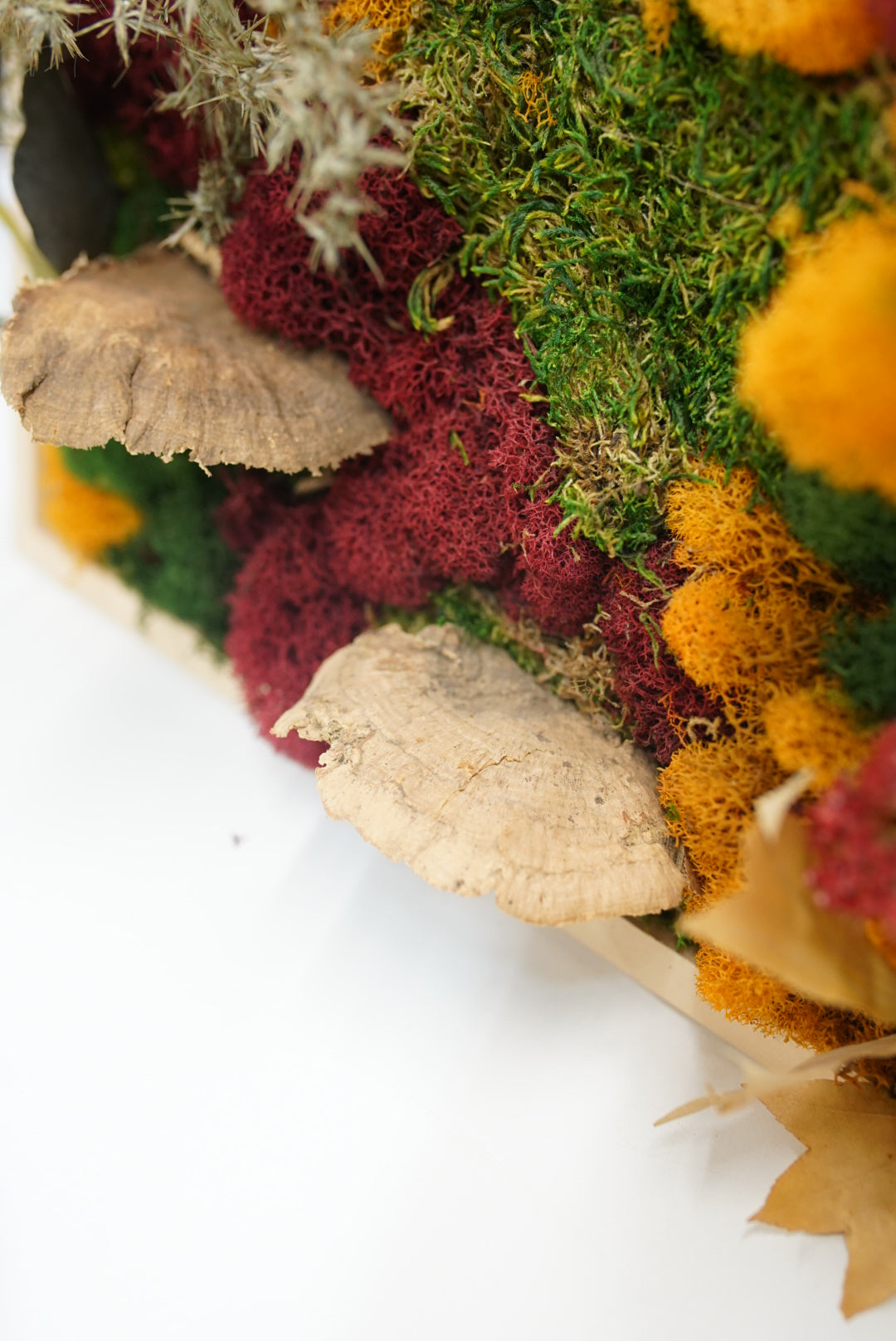 Fall Moss Art Workshop - Saturday, November 7