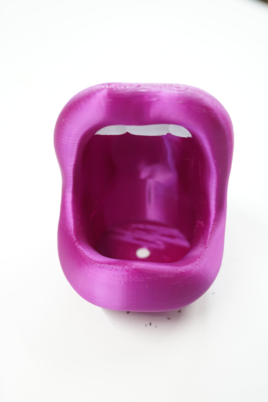 3D Lips Planter