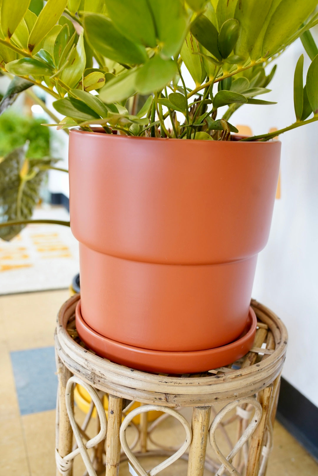 Calyx Planters with Saucers