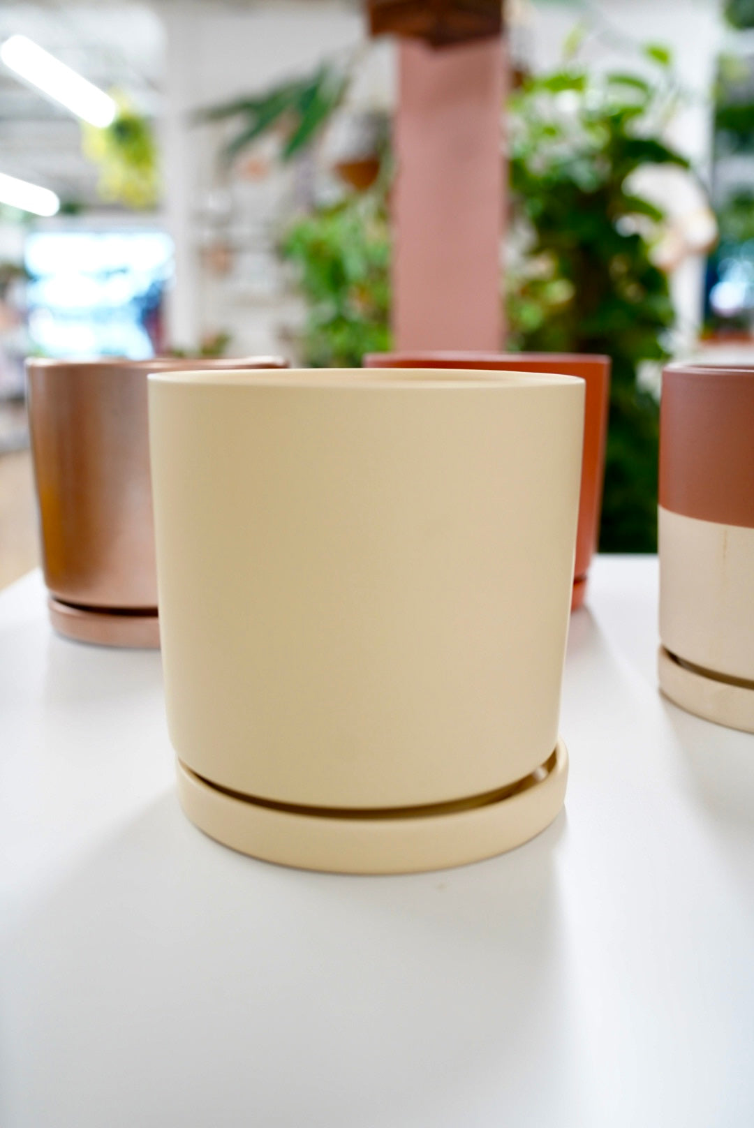Gemstone Cylinder Planters
