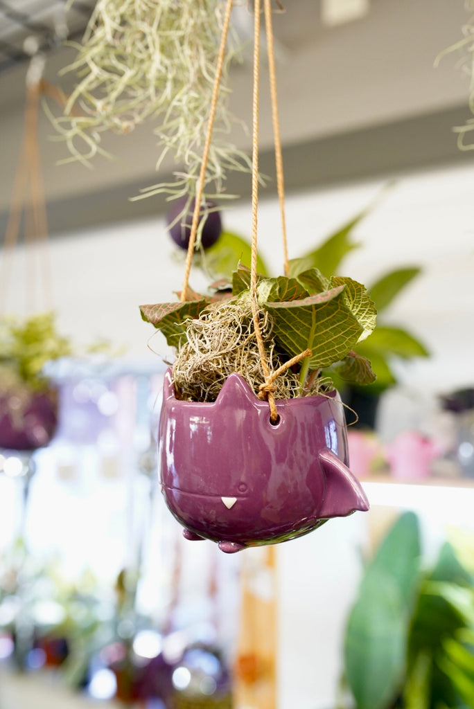 Hanging Bat Planters