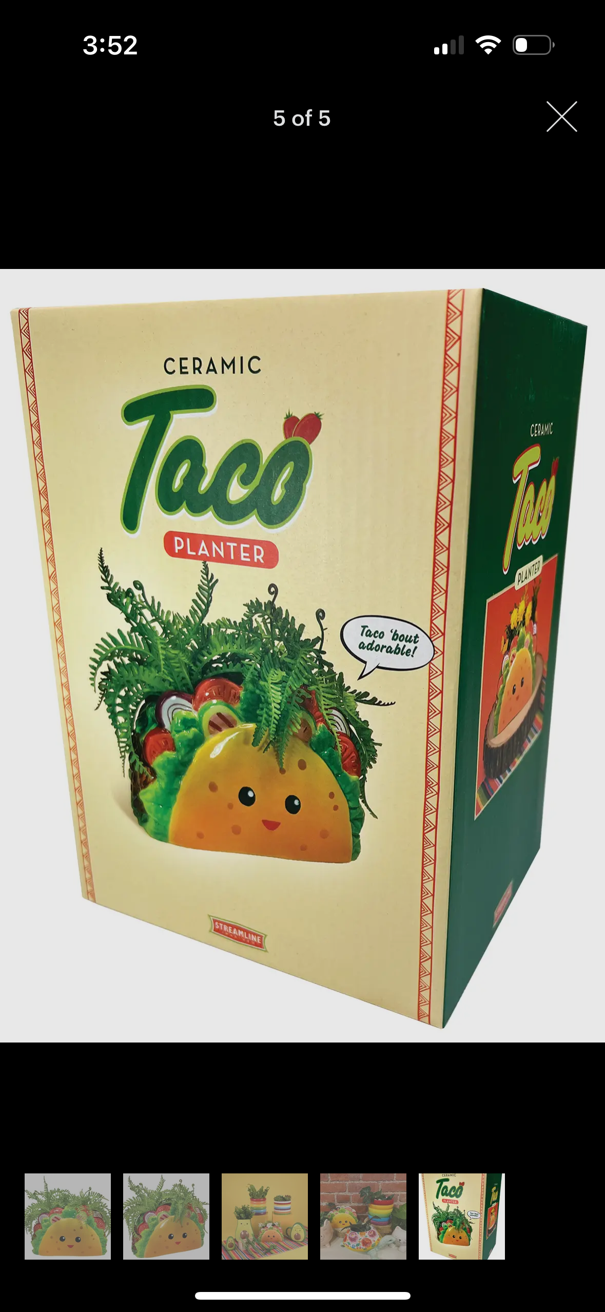 Taco Planter