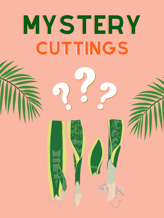 Mystery Cuttings