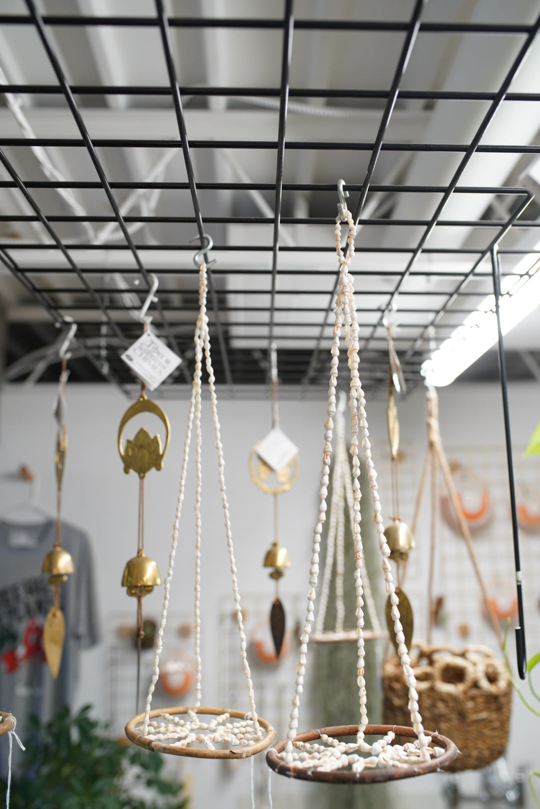 Seashell Air Plant Hanger