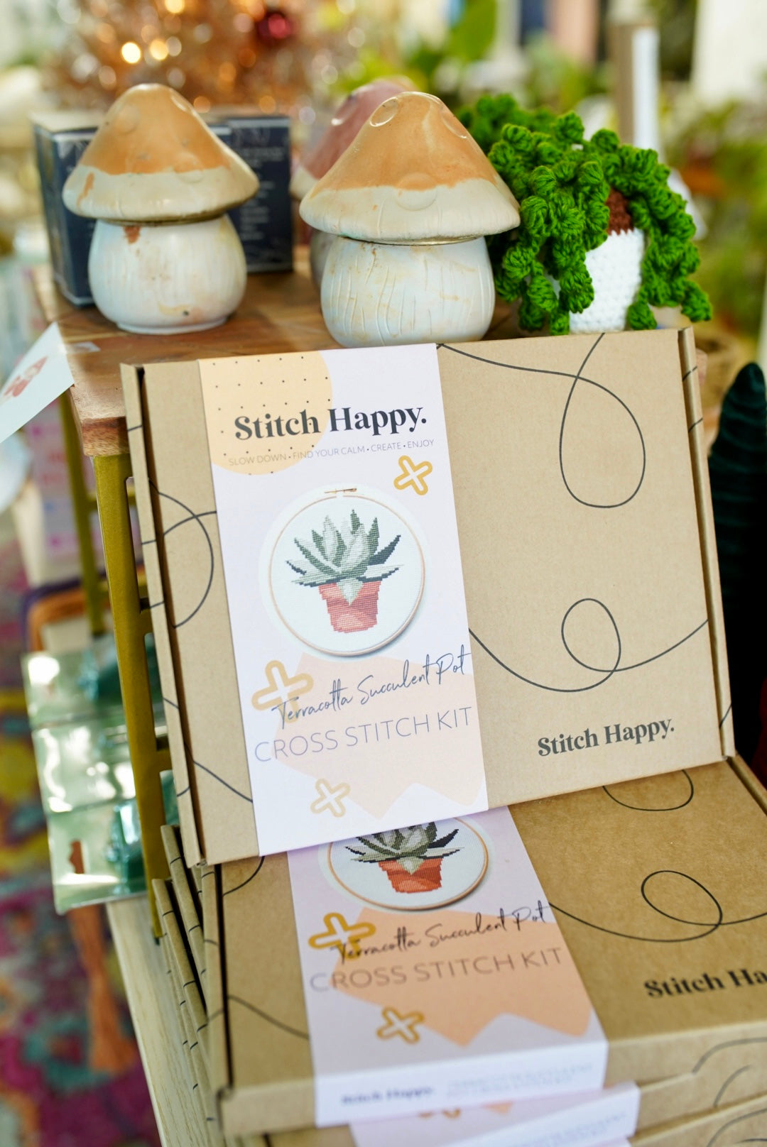 Cross Stitch Kit - Terracotta Succulent Pot