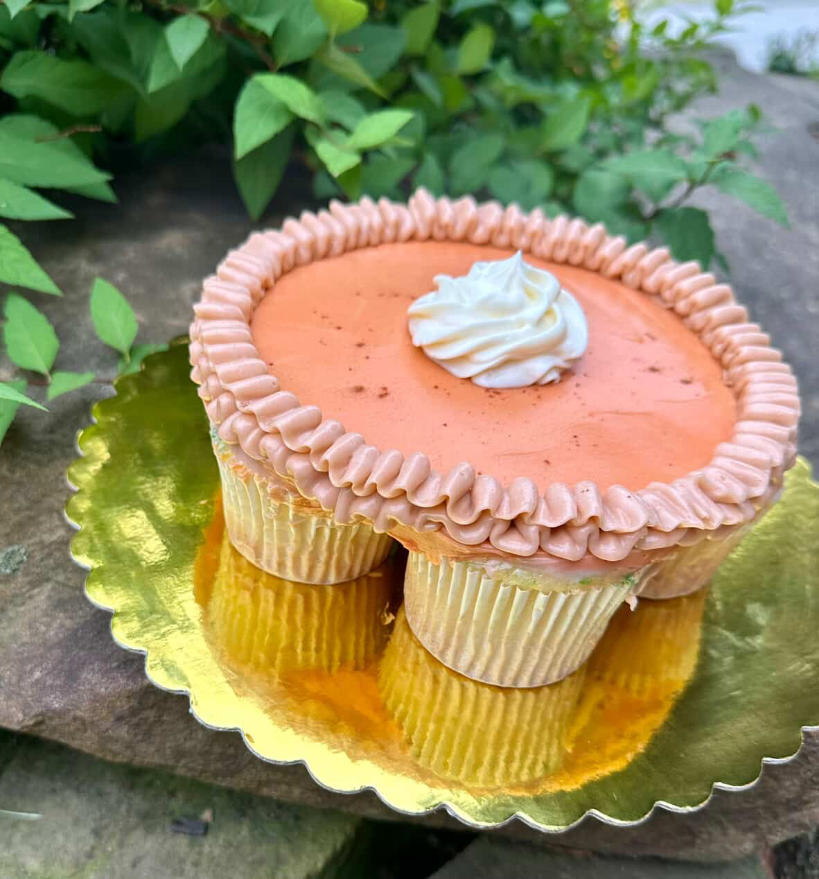 Pumpkin "Pie" Cupcake Decorating Workshop - Saturday, November 8