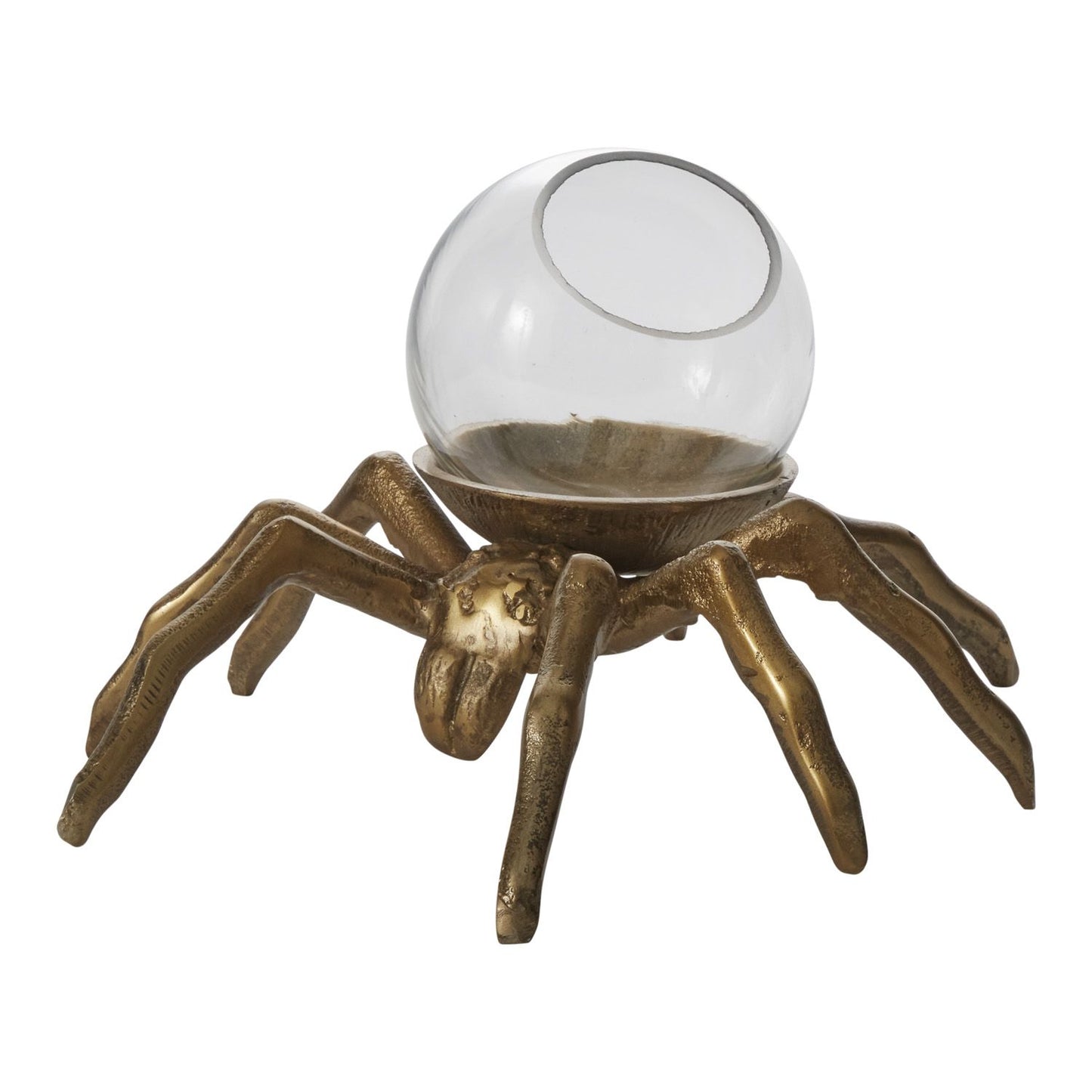 Spider Terrarium