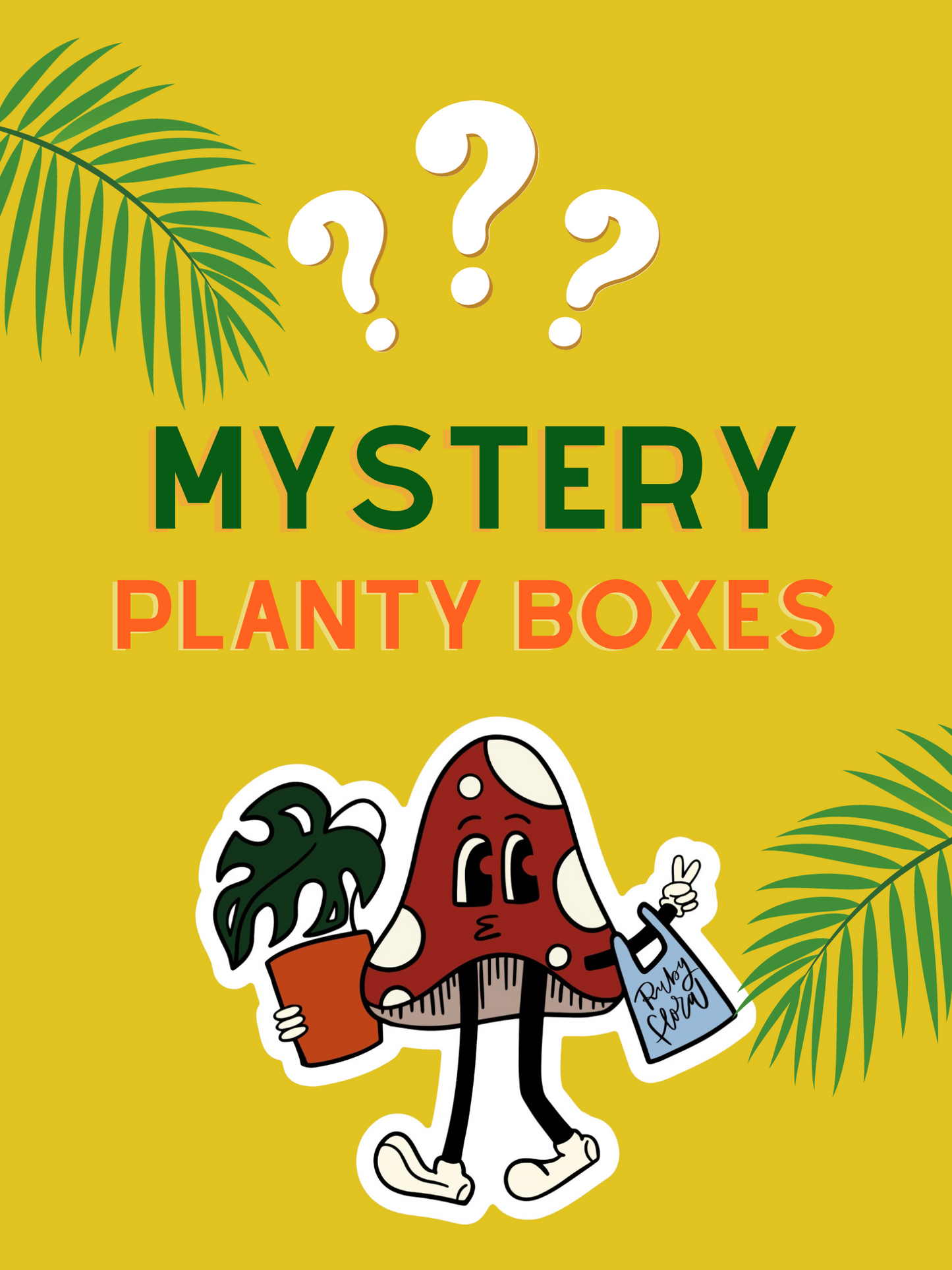 Mystery Boxes