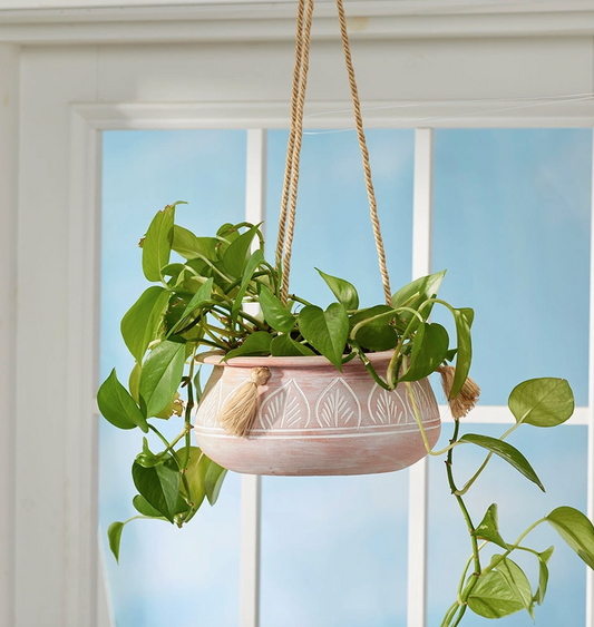 Papari Hanging Planter