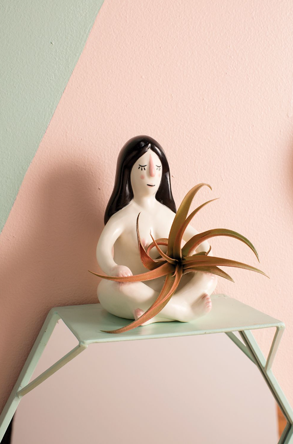 Nuna Tillandsia Holder