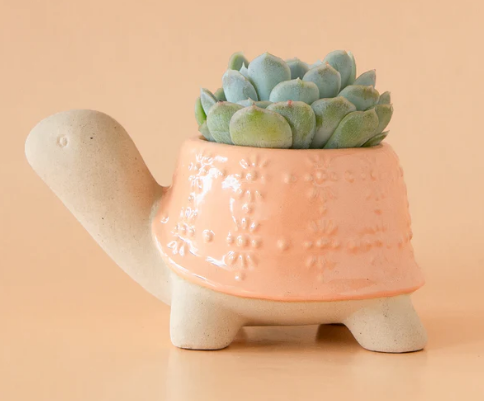 Turtle Planter
