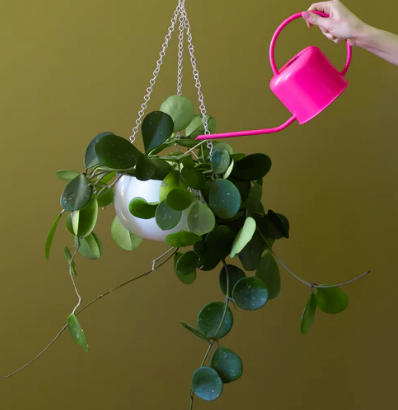 Cleo Hanging Planter