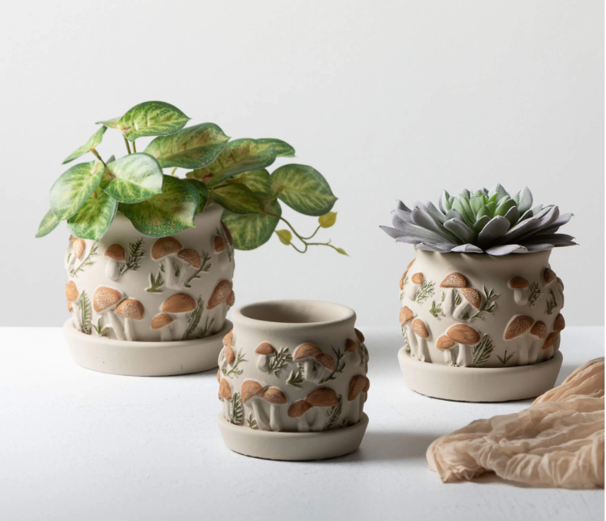 Organic Mushroom Planter