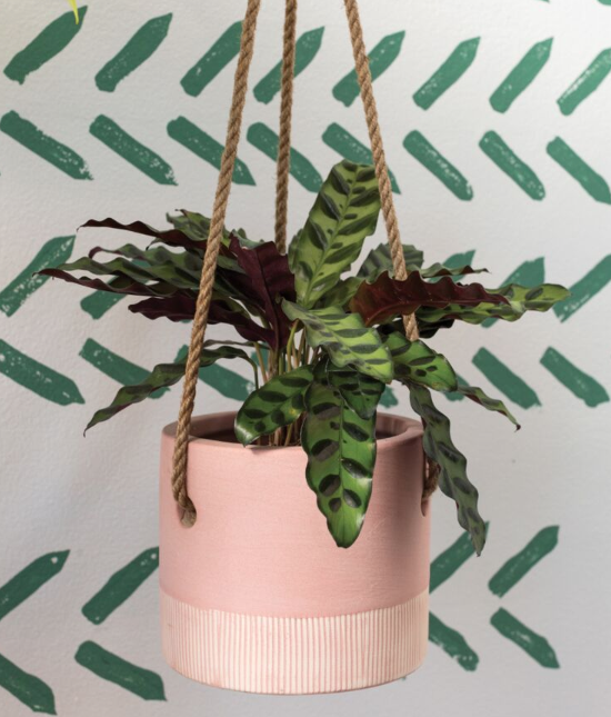 Leia Hanging Pot