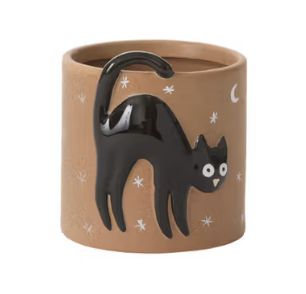 Witching Hour Planter