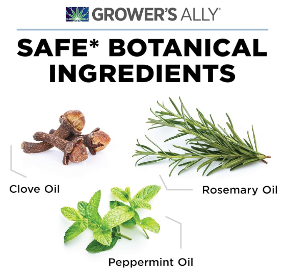 Spider Mite Control