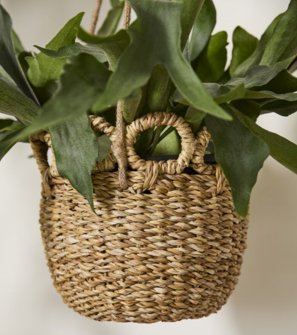 Verse Hanging Basket