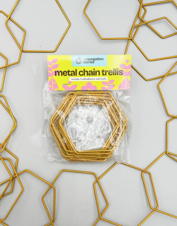 Metal Chain Trellis