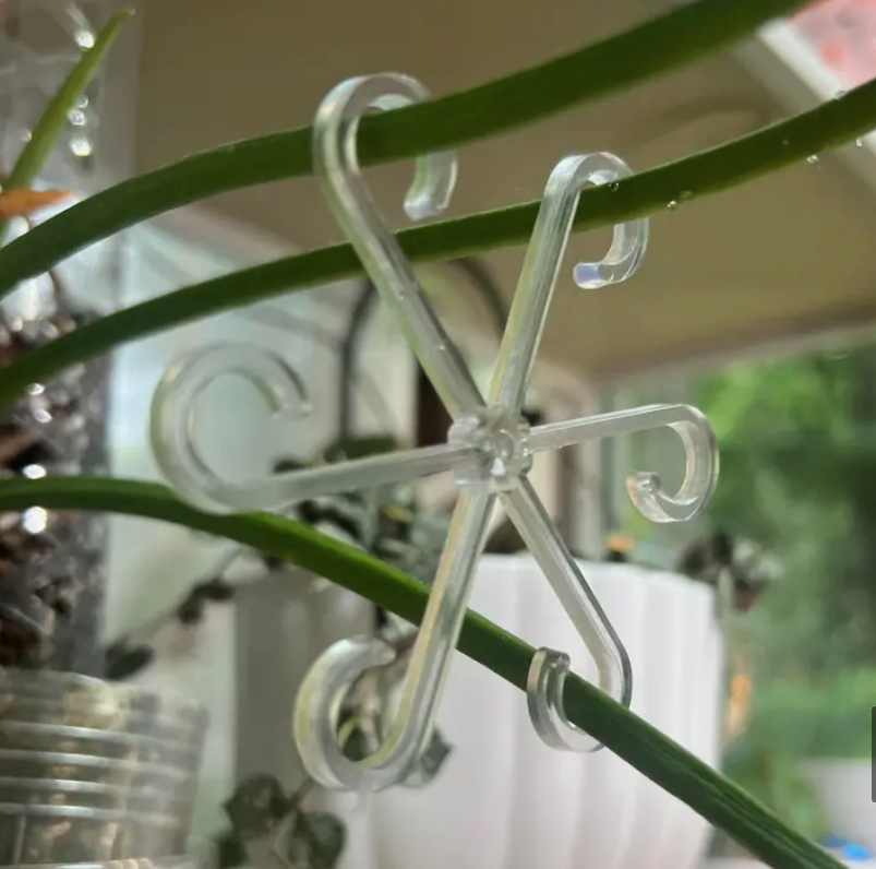 Spiral Stem Holder