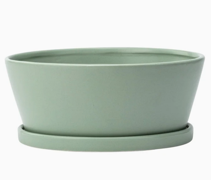 Green Dish Garden w/ saucer