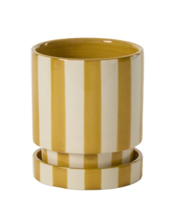 Saffron Planter w/ Saucer