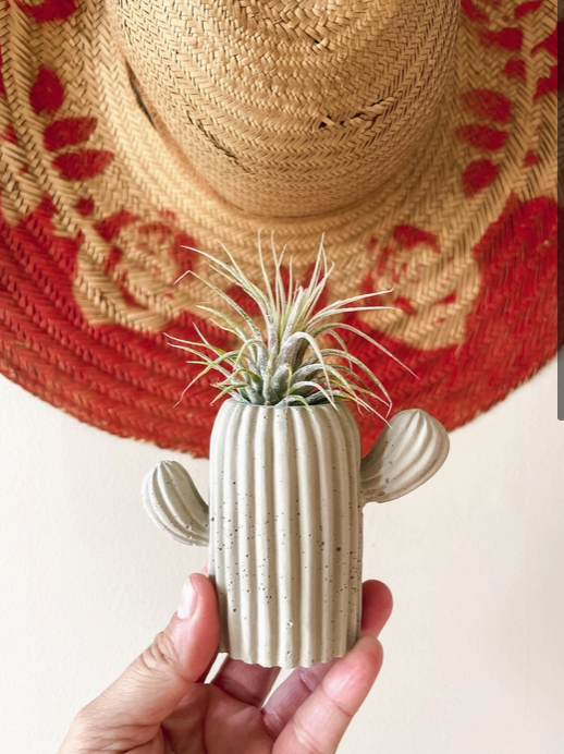 Cement Air Plant Holder