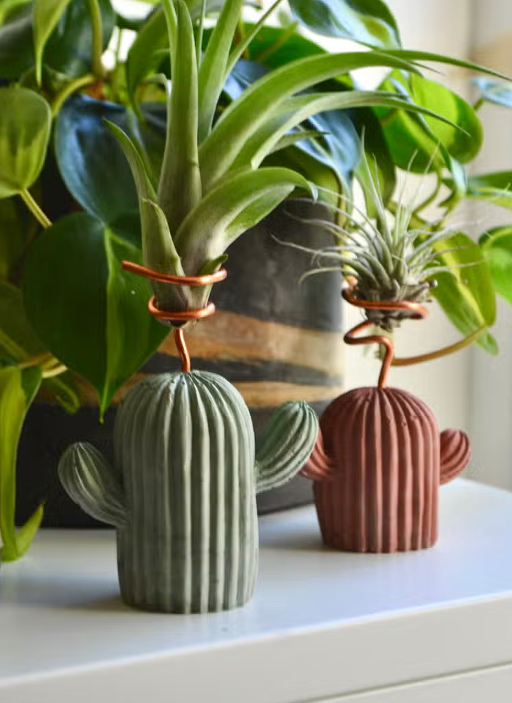 Mini Cactus Air Plant Holder
