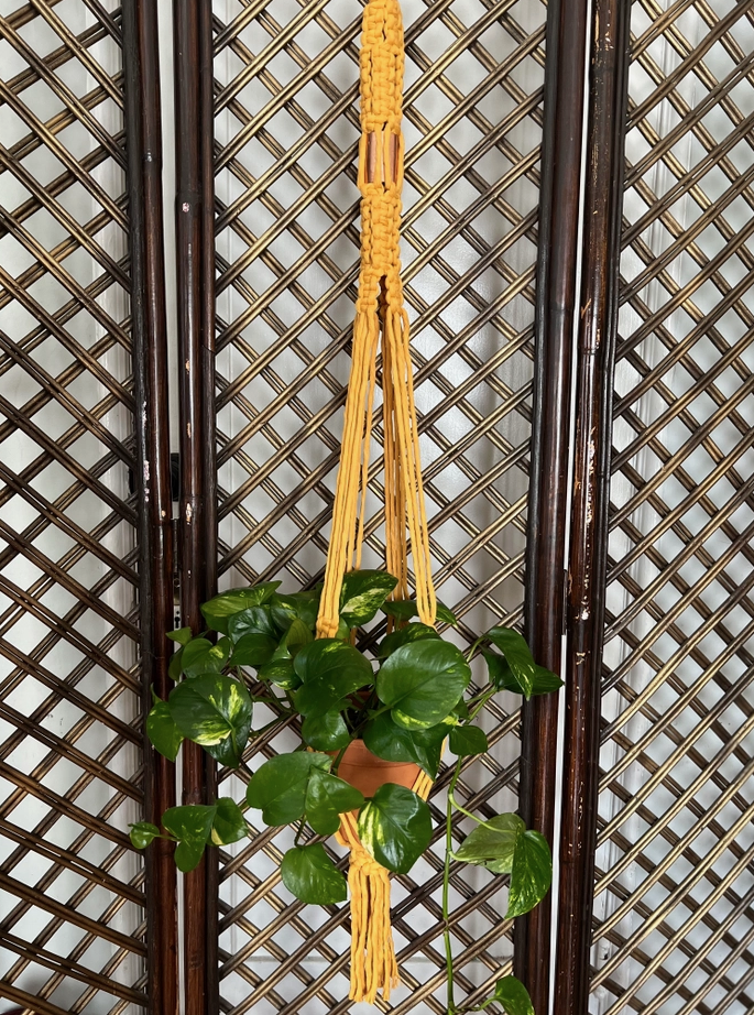 Jumbo Copper Plant Hanger