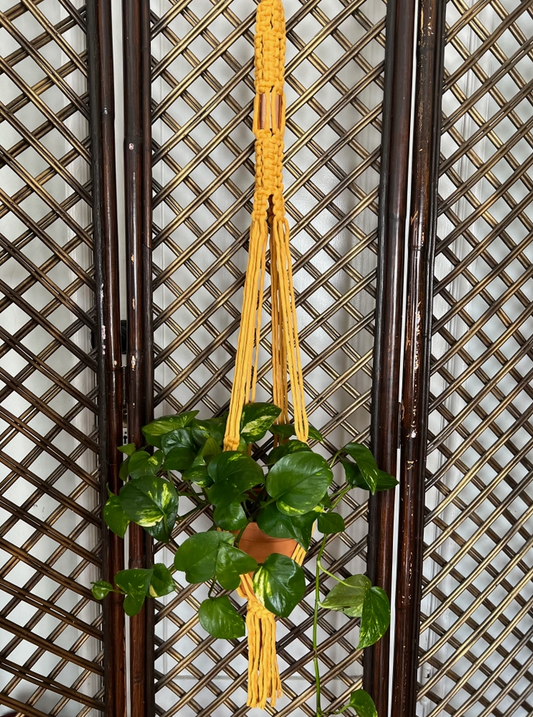 Jumbo Copper Plant Hanger