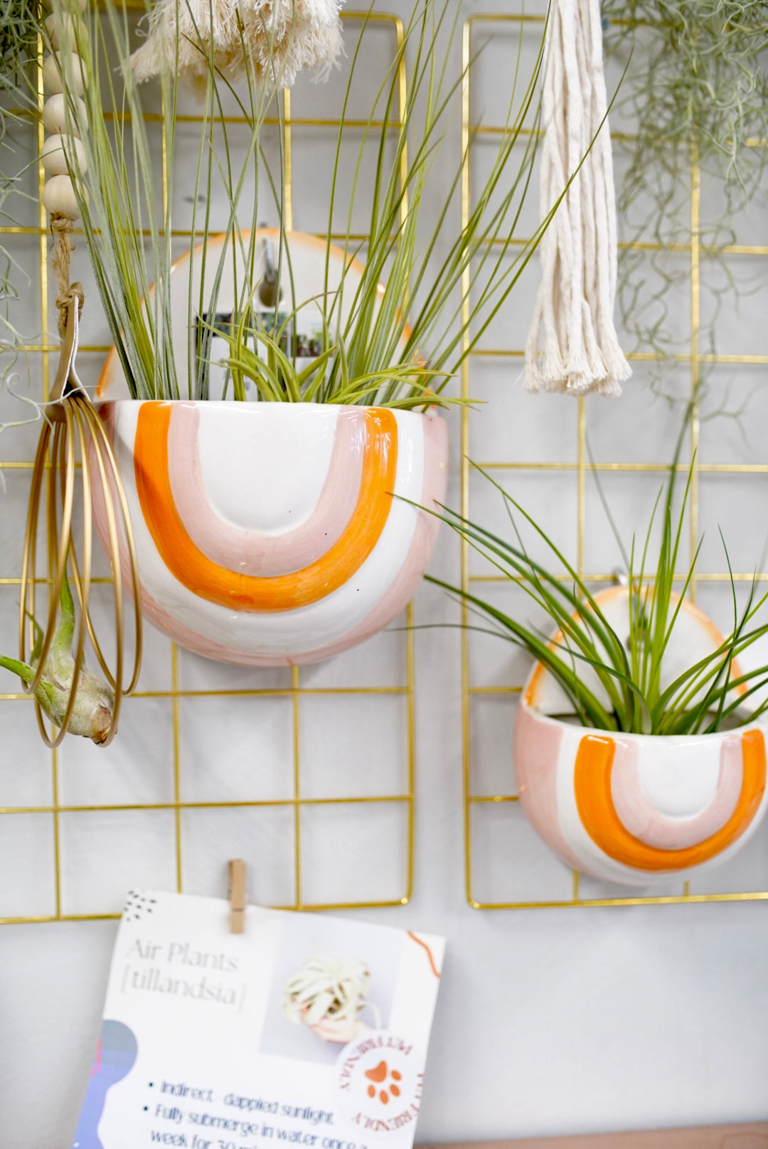 wall planter air plant Rainbow Wall Pocket – Ruby Flora Plant Shop