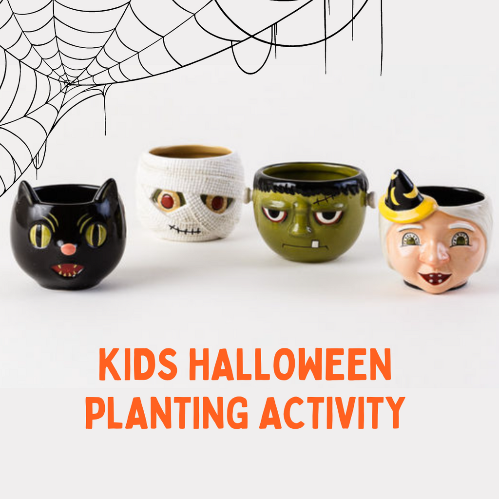 Kids Spooky Planting Activity - Sunday, October 15