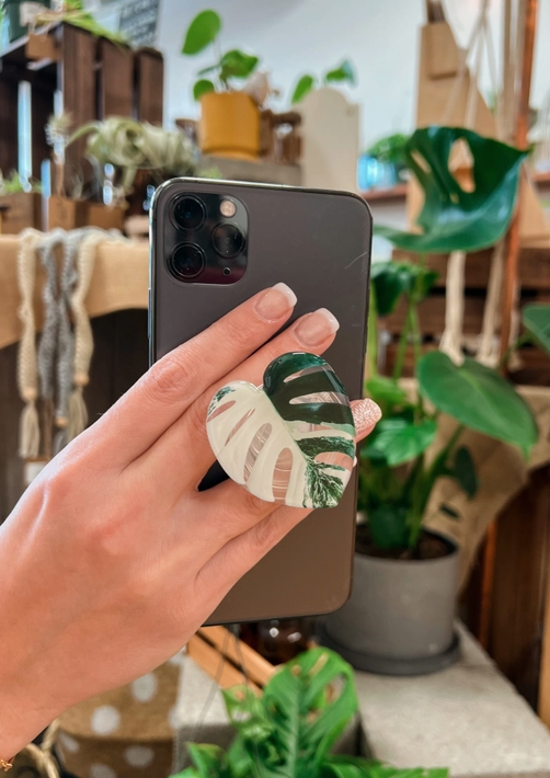 Monstera Albo Pop Socket