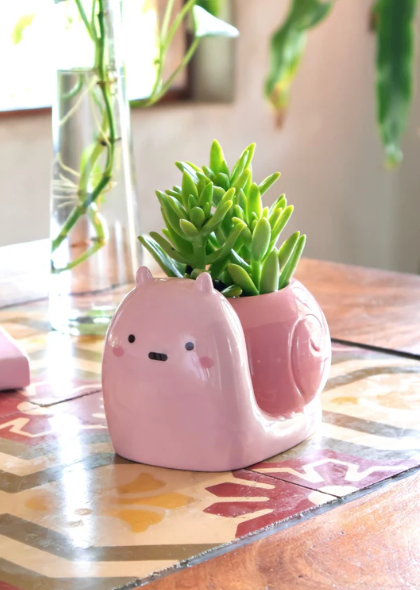 Snail Planter