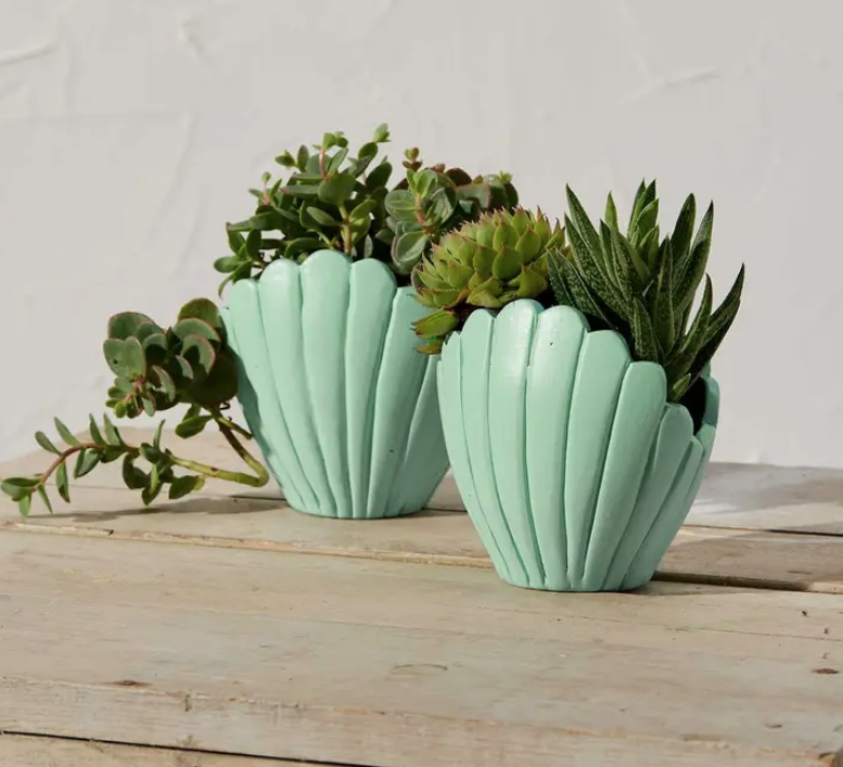 terracotta succulent planter Teal Seashell Terracotta Planter – Ruby Flora Plant Shop