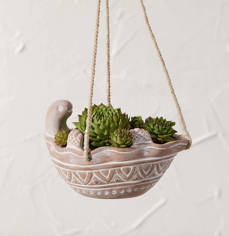 Tiny Turtle Hanging Terracotta Planter