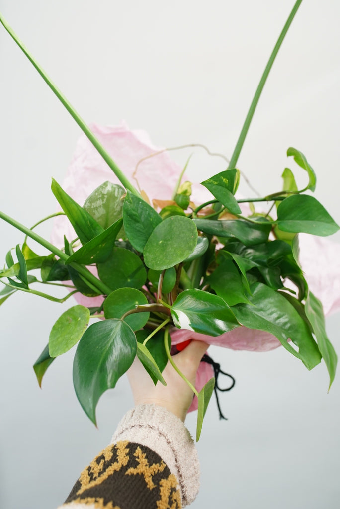 Custom Houseplant Cutting Bouquet