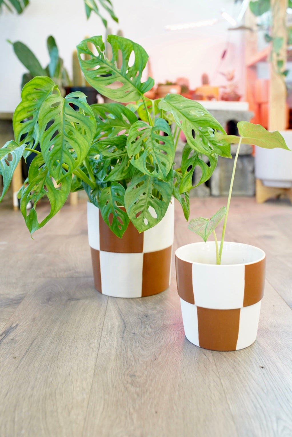 aesthetic pots for plants Checkerboard Pot Terracotta / 5"x 5"